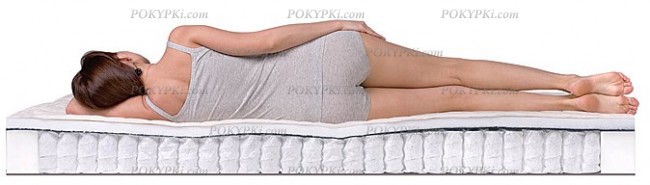 Матрас Dreamline Eco Holl TFK с независимыми пружинами Матрас Dreamline Eco Holl TFK с независимыми пружинами