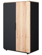 Шкаф двустворчатый для одежды Дельта Лофт 13.01 