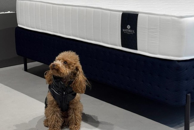 Матрас Меранжес мульти форте