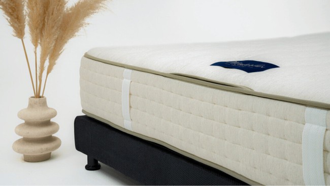 Чехол Mondaris (Мондарис) Чехол Mondaris (Мондарис)