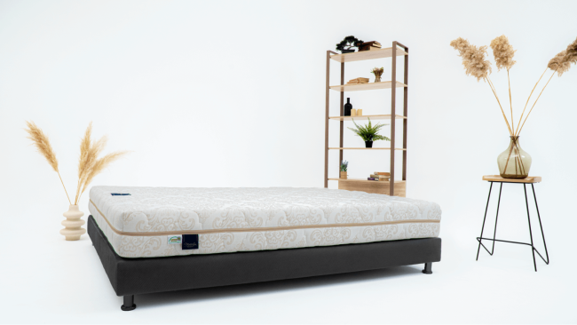 Чехол Gustavia (Густавия)