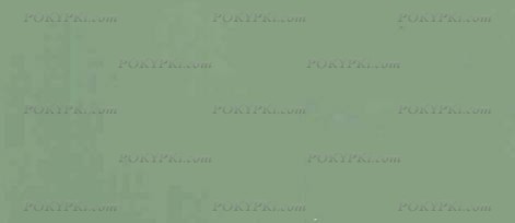 Бук. Цвет:Олива Бук. Цвет:Олива